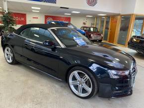 AUDI A5 2015 (64) at S.S. Logan & Sons Newtownabbey